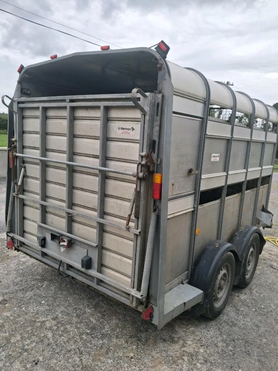 10x6 ifor Williams with sheep decks - Image 3