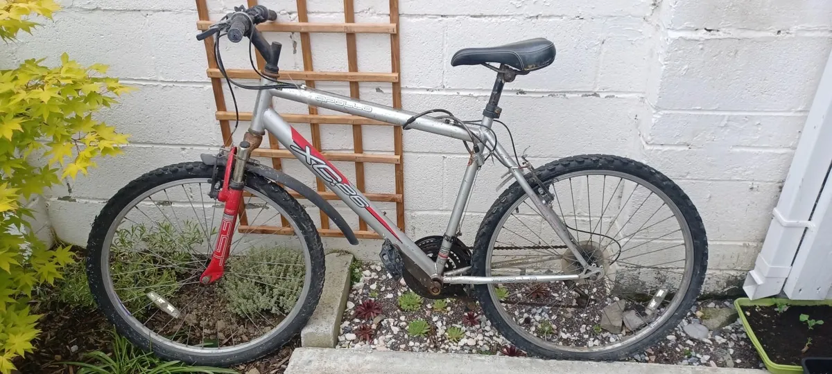 Bike