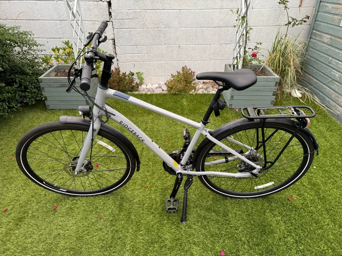 Ridgeback men’s bike