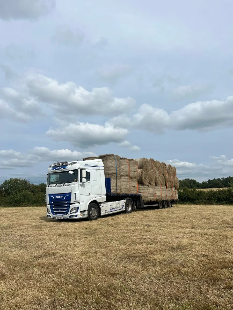 Hay for sale - Image 4
