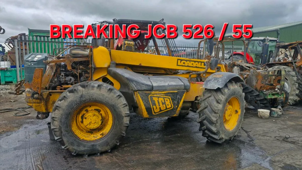 JCB - Image 4