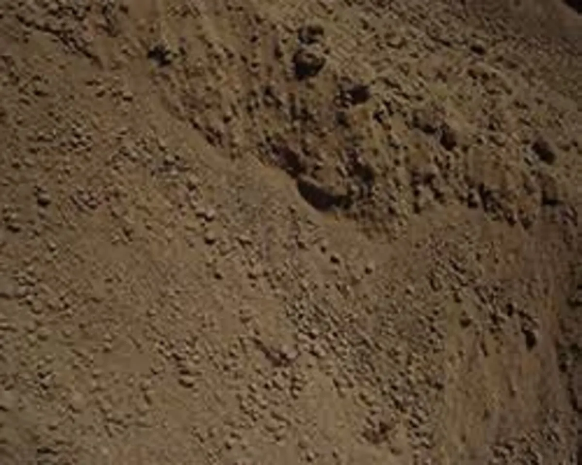 Screened Topsoil for sale - Image 1