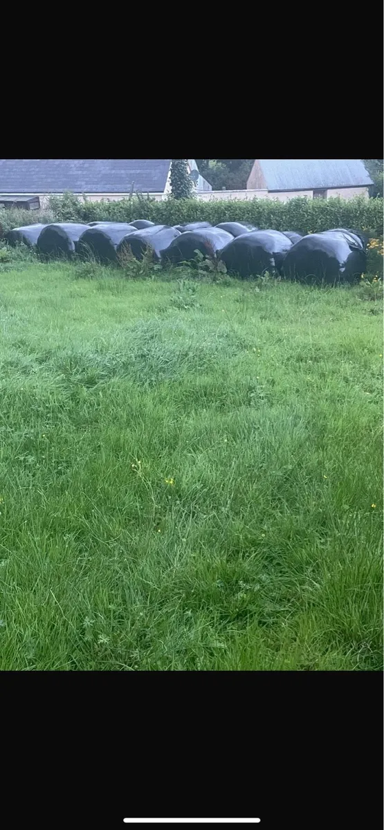 Haylage