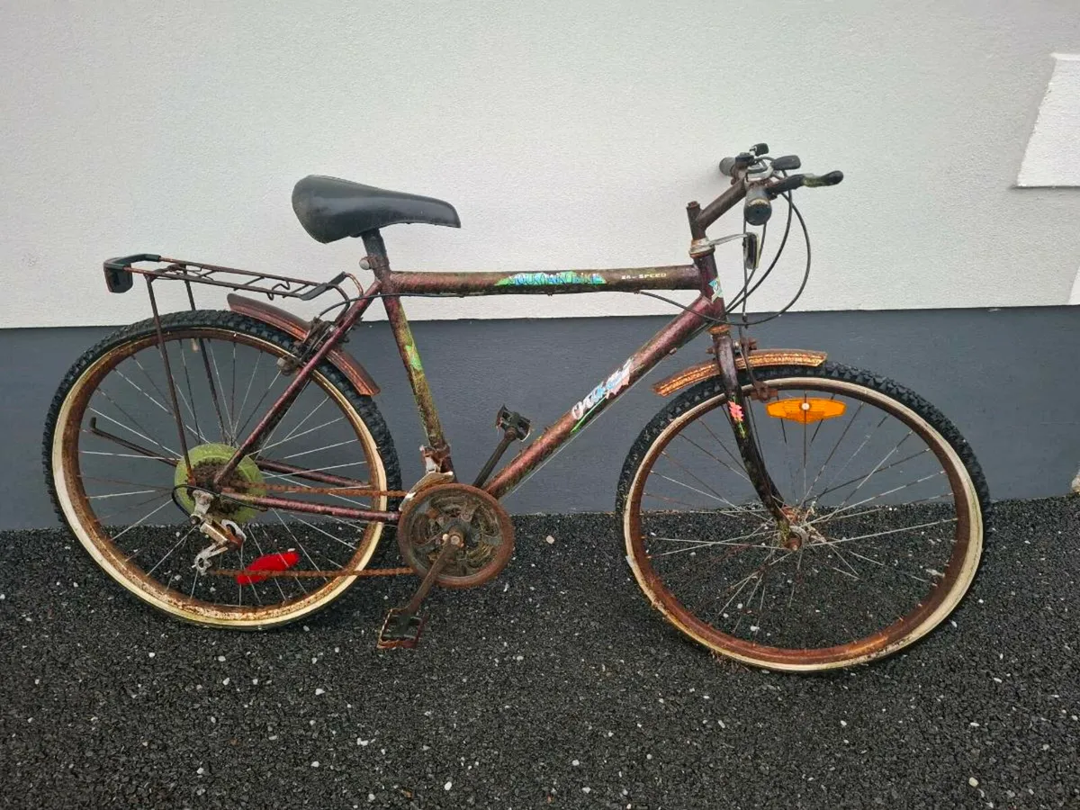 High Nelly Bike - Image 2