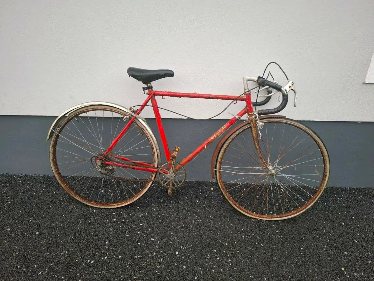 High Nelly Bike - Image 3