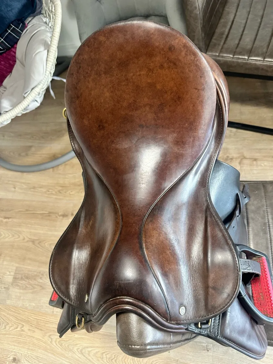Saddle - Image 2