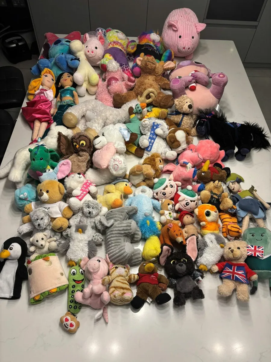 Mixed bundle of Teddies
