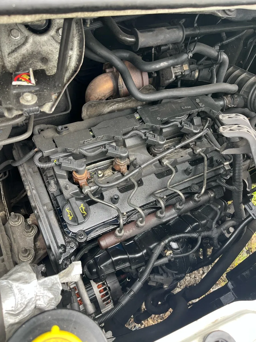 Ford transit 2014 needs head gasket - Image 2