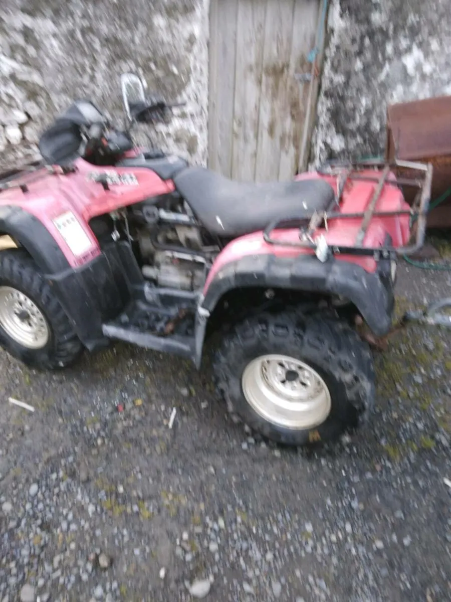 Honda rubicon 500 - Image 1