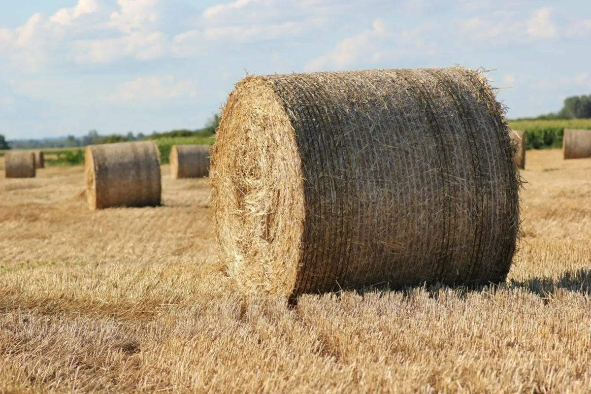 68 bales of hay for sale €23 per bale - Image 1