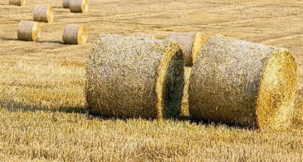 68 bales of hay for sale €23 per bale - Image 2