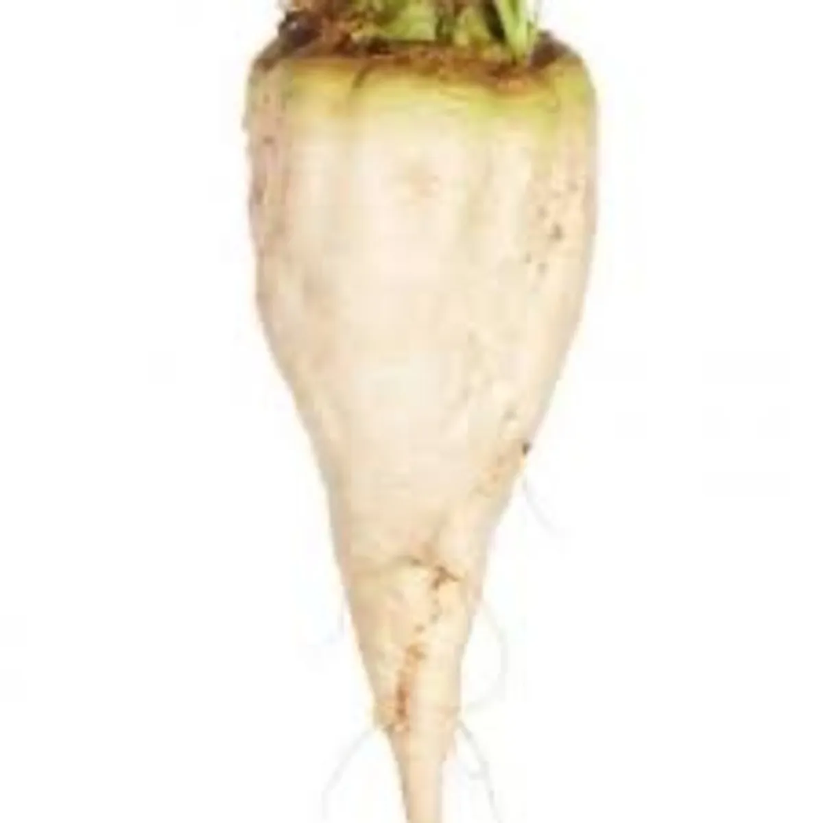 Pitted beet - Image 2