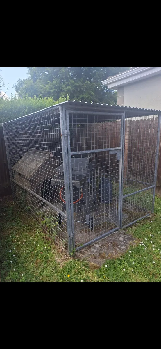 Large Galvanised Dog Cage & Roof- 6ft x 6ft x 8ft