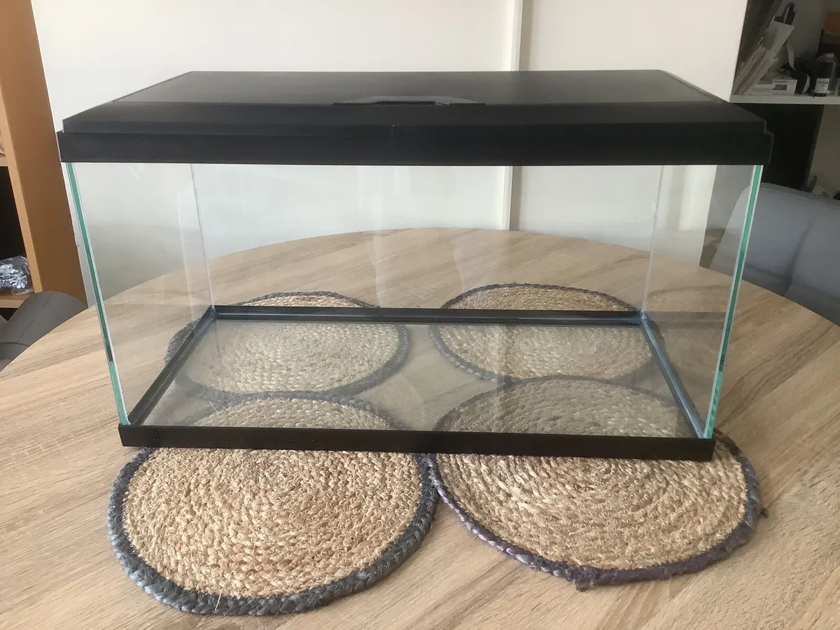 Aquarium - Image 2
