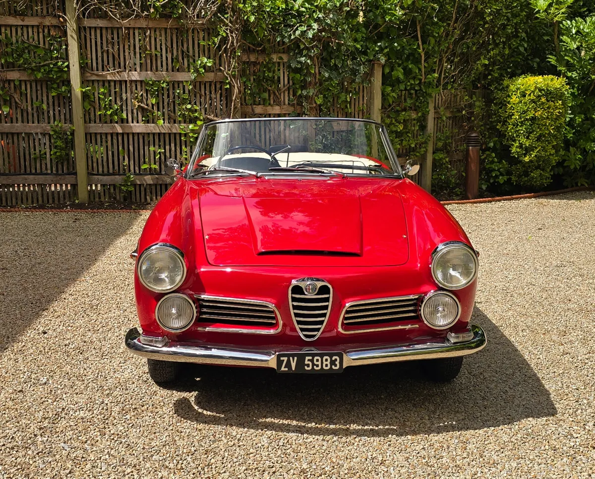 1964 Alfa Romeo 2600 Spider - one of 103 produced - Image 4