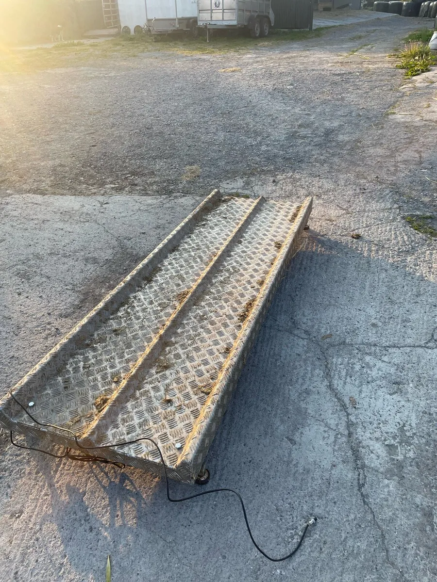 Cattle weighing scale - Image 1