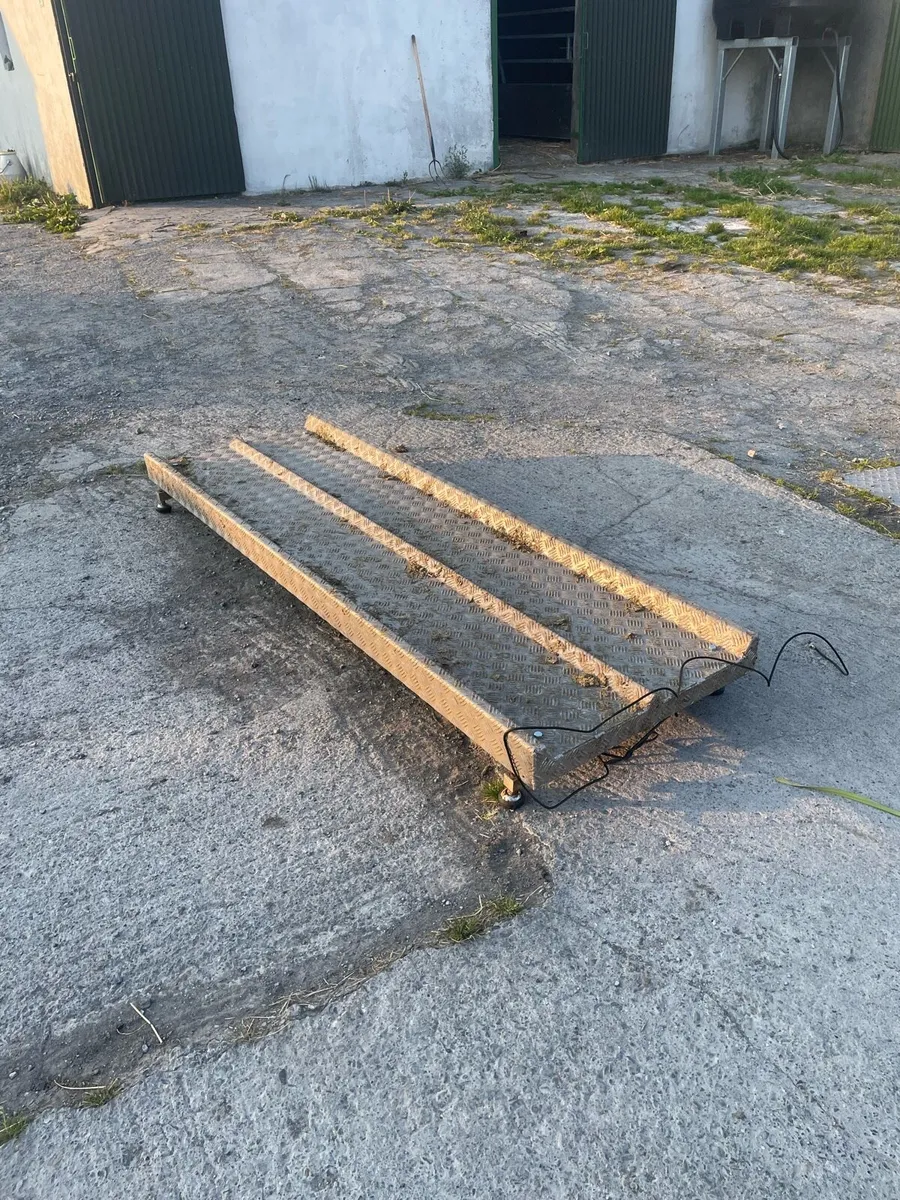Cattle weighing scale - Image 2