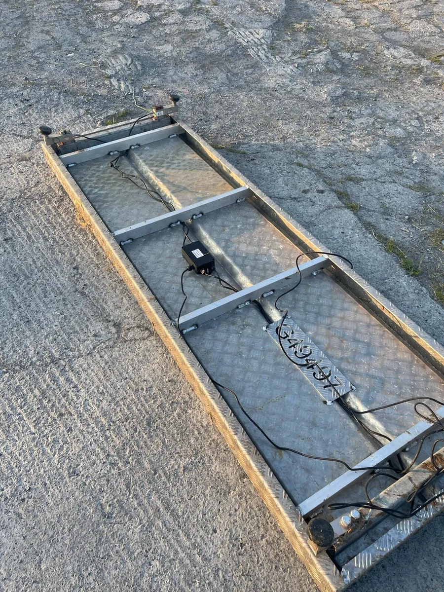 Cattle weighing scale - Image 3