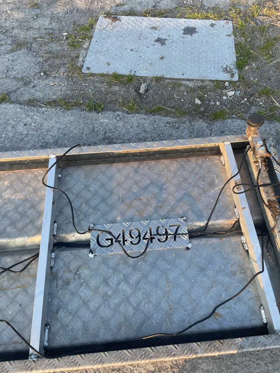 Cattle weighing scale - Image 4