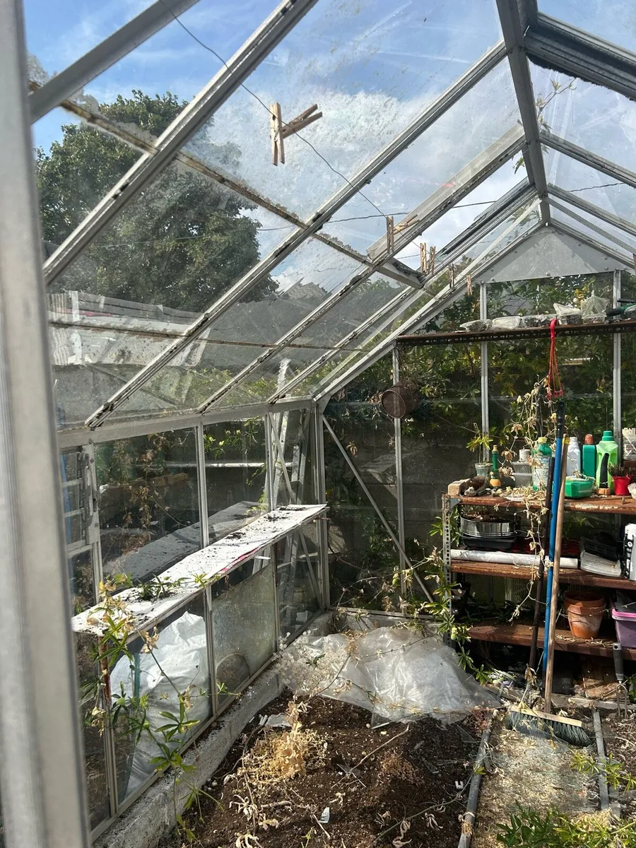 Greenhouse - Image 3