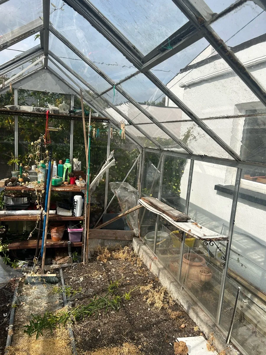 Greenhouse - Image 4