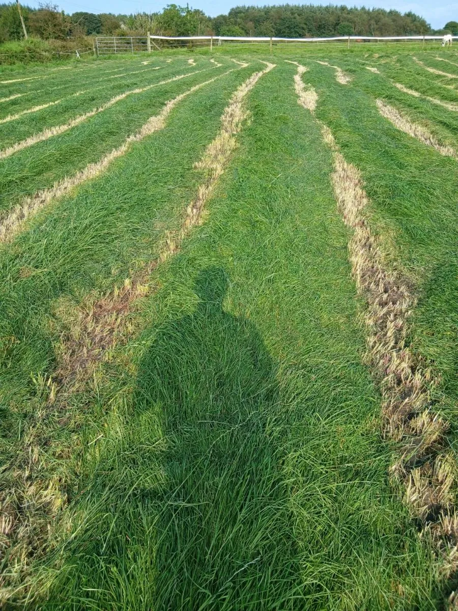 Silage