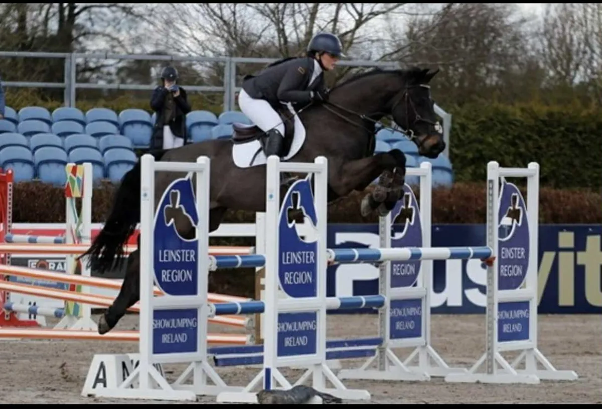 Jumping horse - Image 1