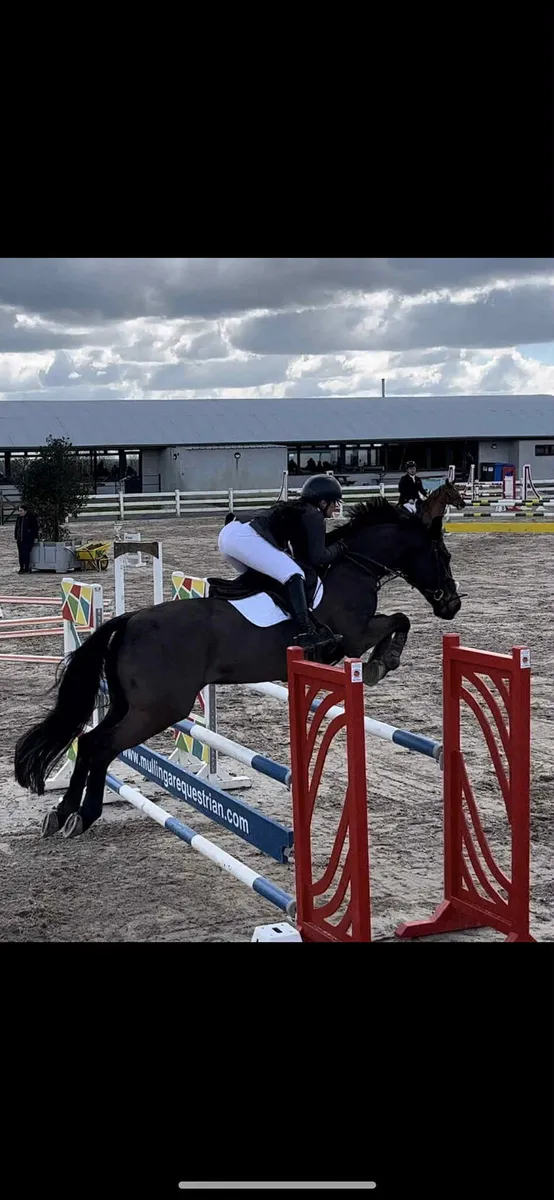 Jumping horse - Image 2