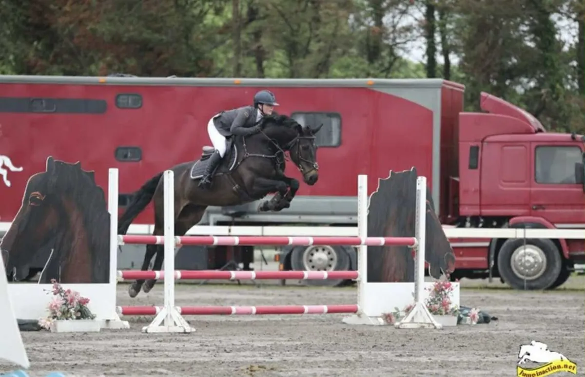 Jumping horse - Image 4