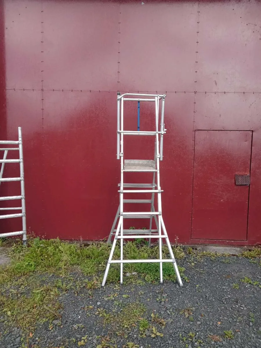 Platform ladders - Image 4