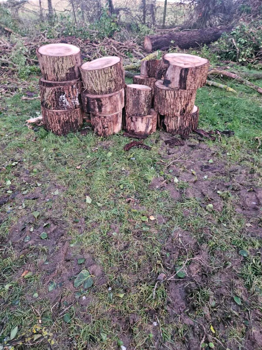 Log splitting service - Image 1