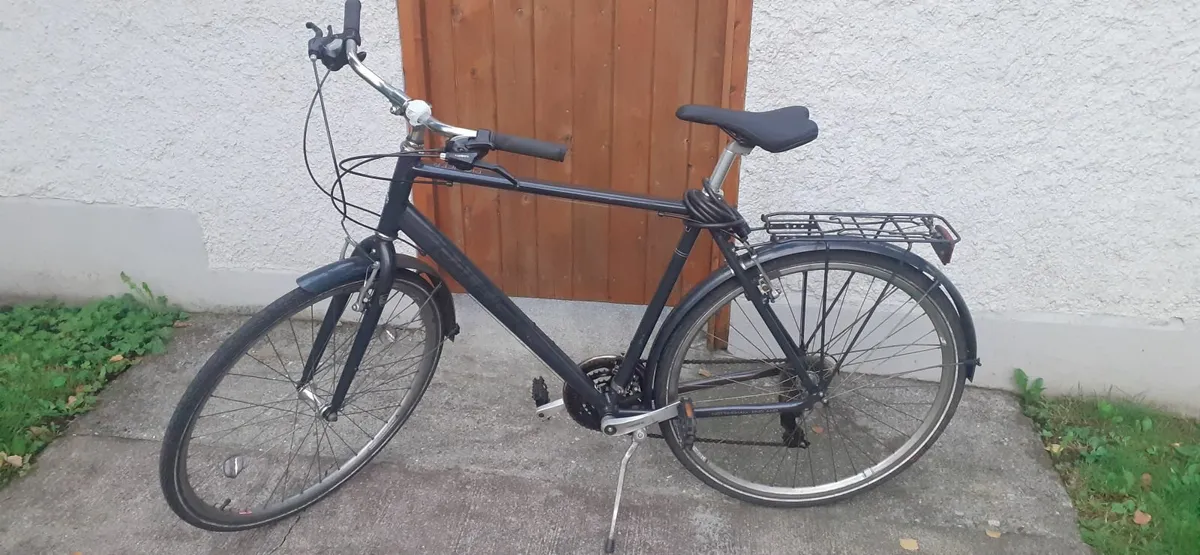 Bike Raleigh Pioneer + Workstand+Pump+Lights+Lock - Image 1