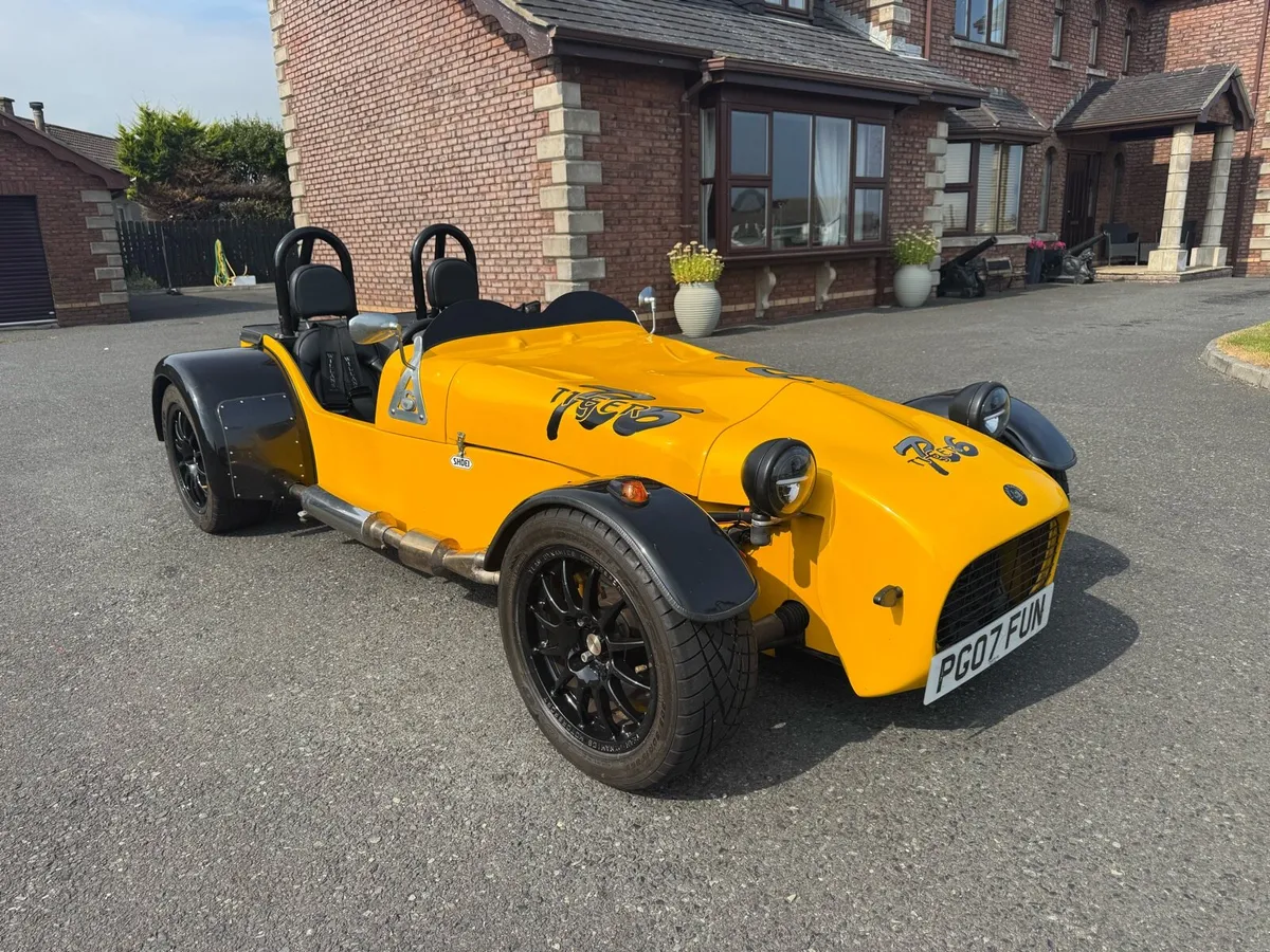 Tiger r6 - Image 1