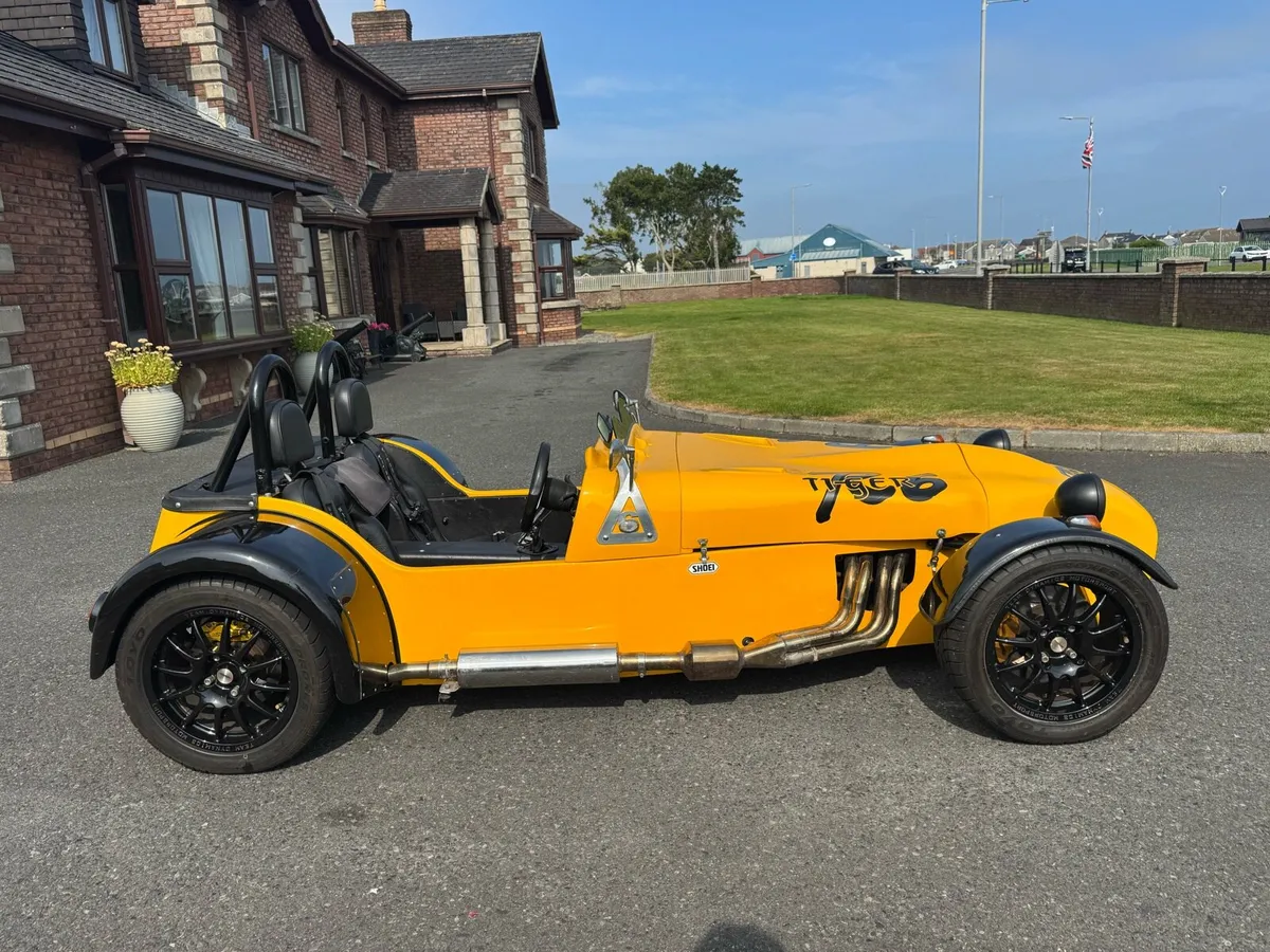 Tiger r6 - Image 2