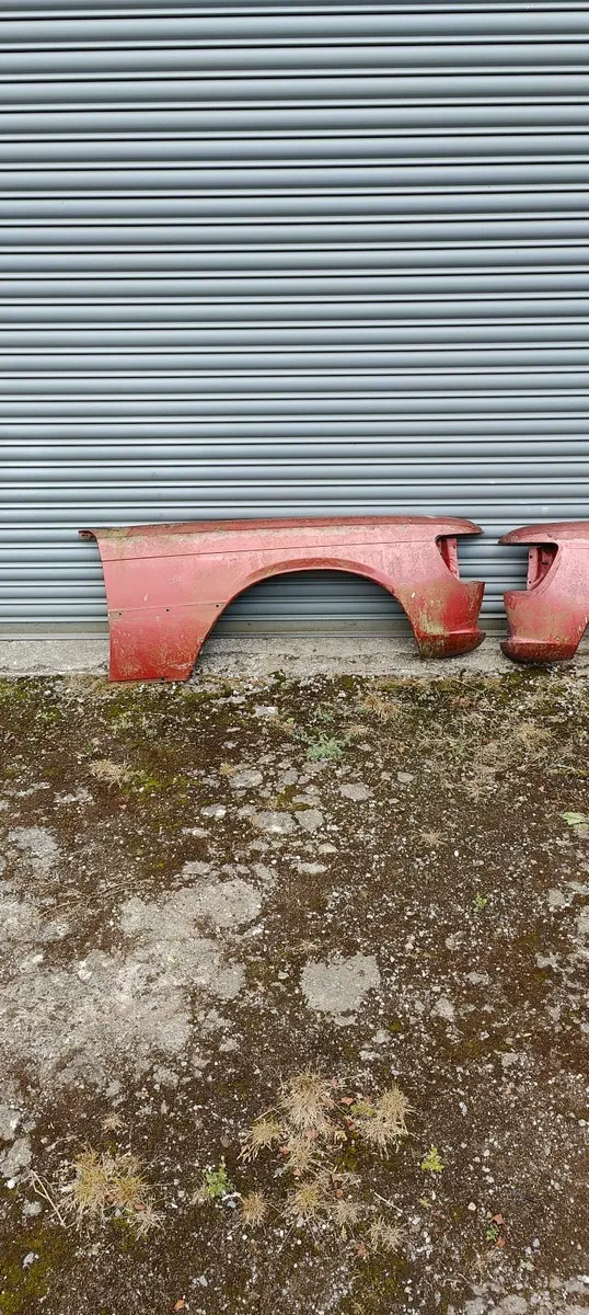 Mercedes W116 front wings - Image 1