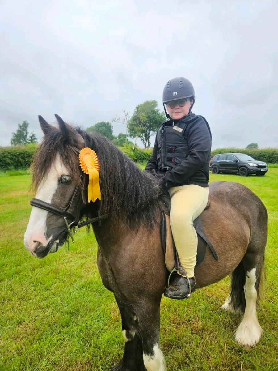 Horse - Image 2