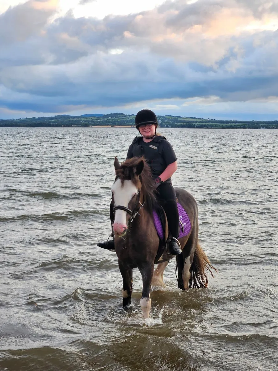 Horse - Image 4