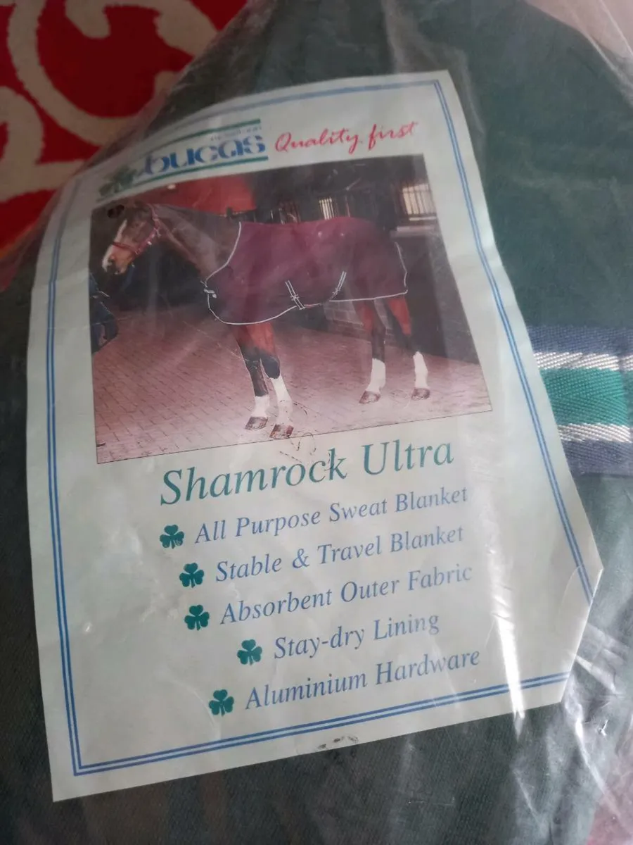 Inside Pony Rugs - Image 1