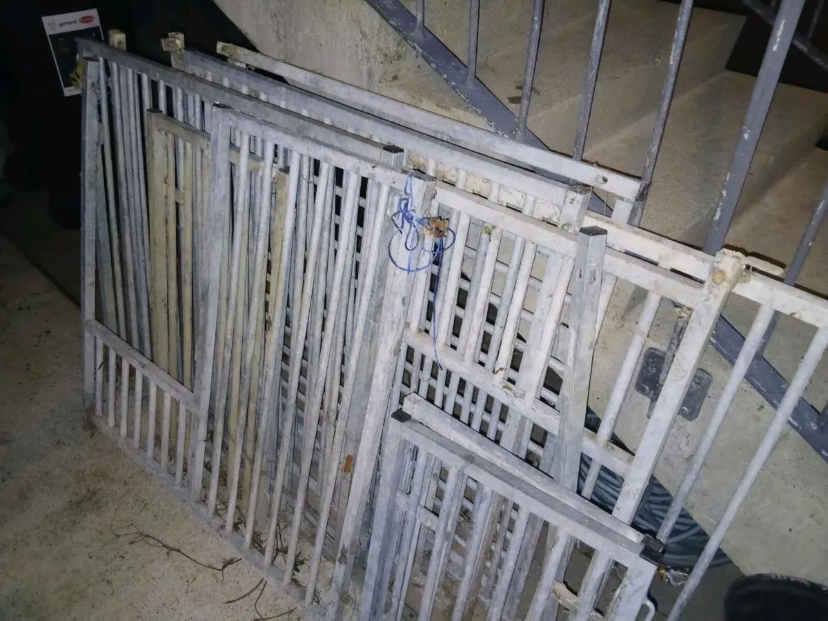 6 dog pen panels - Image 1