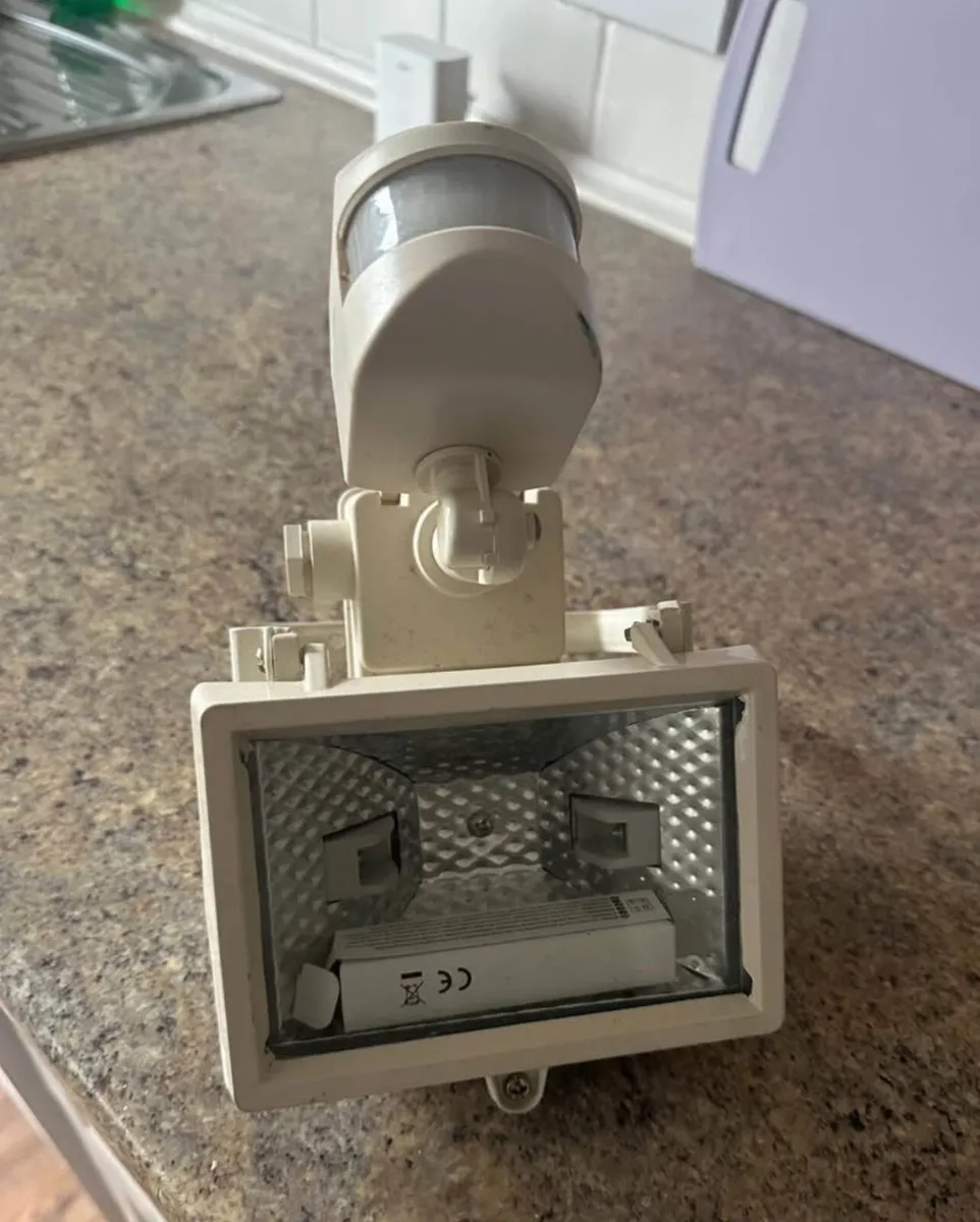 Halogen flood light - Image 1