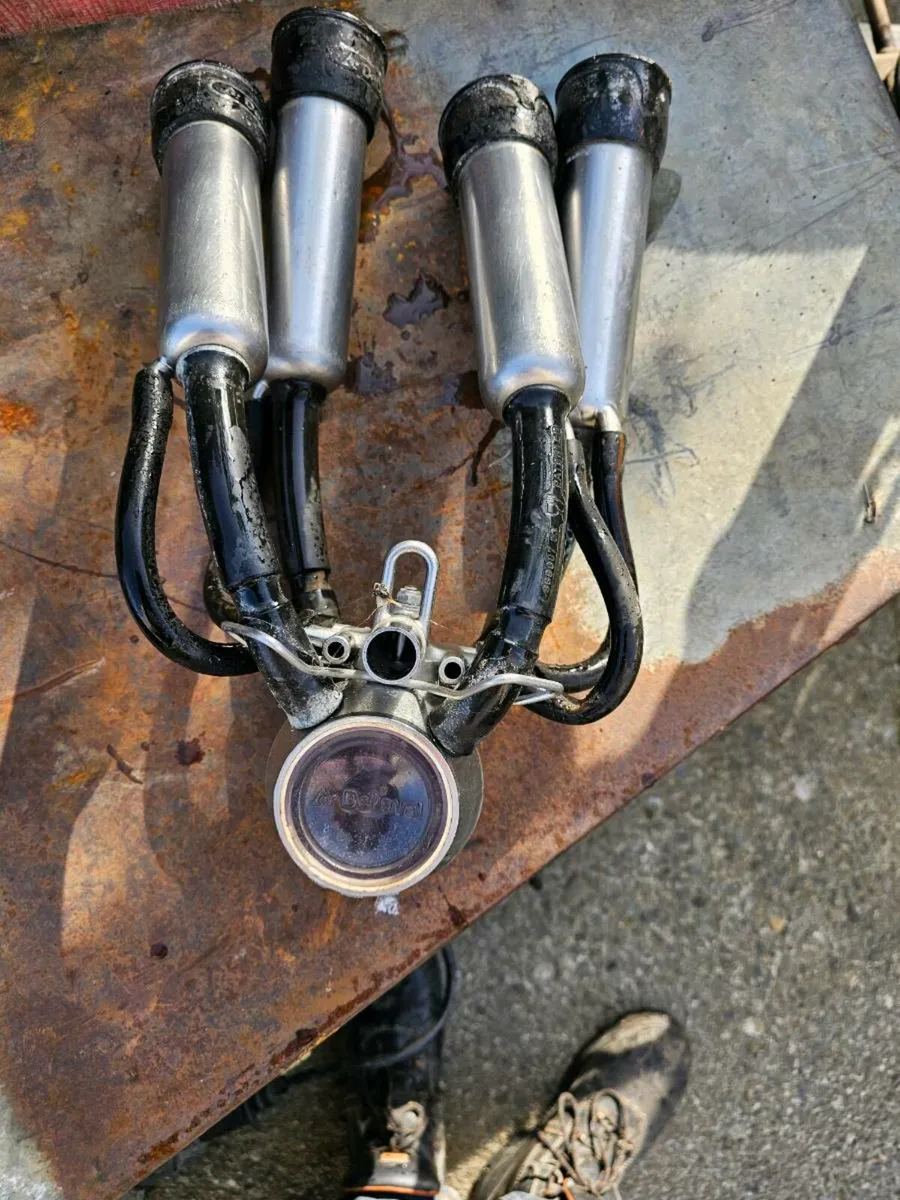 ALFA & DELAVAL  CLAWS - Image 2
