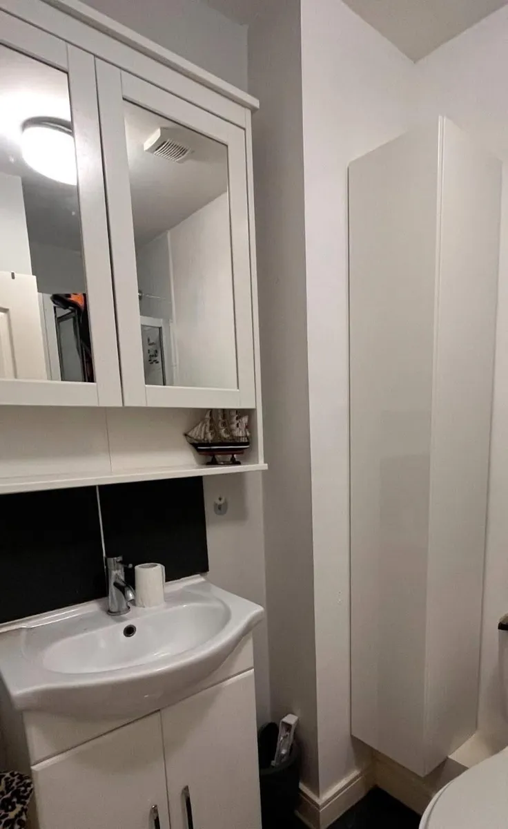 Bathroom vanity cabinet - Image 1