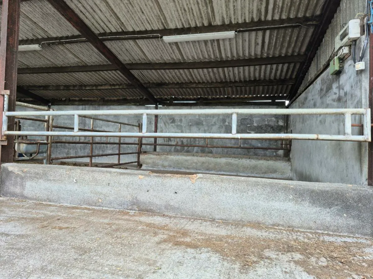 Cattle Barriers - Image 2