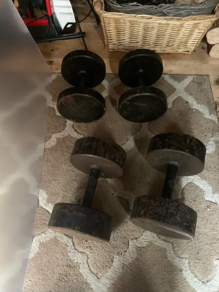 15kg and 27.5kg cast iron dumbells