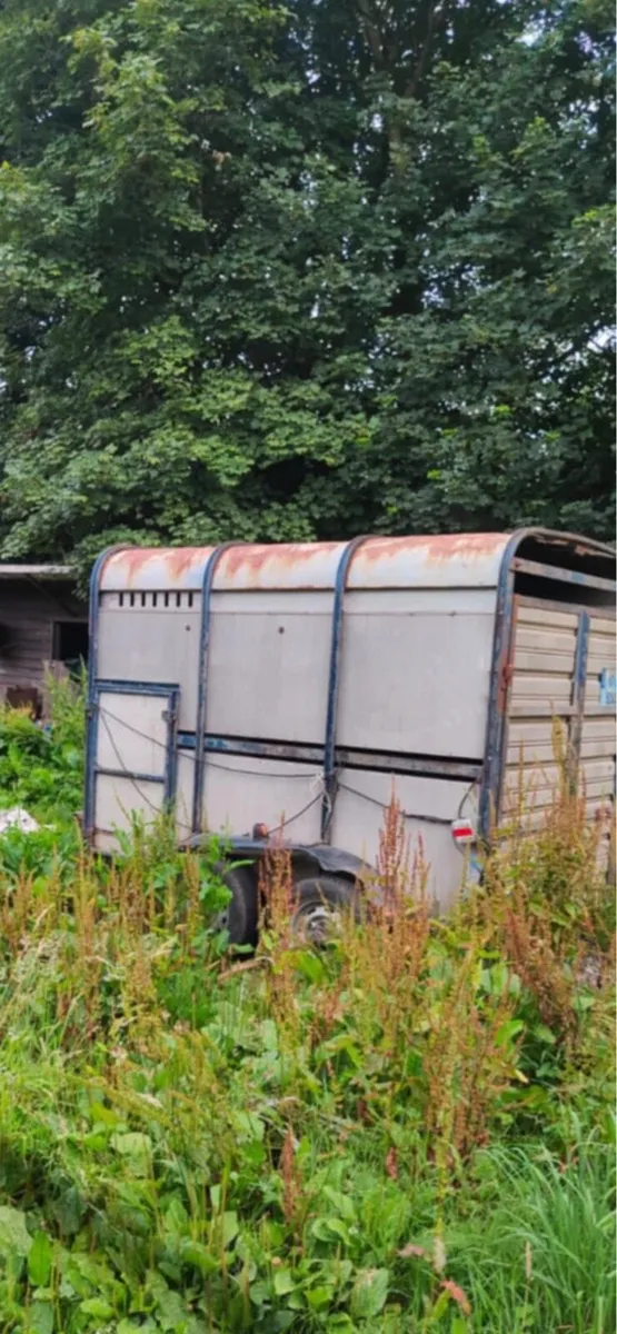 Westwood cattle box - Image 3