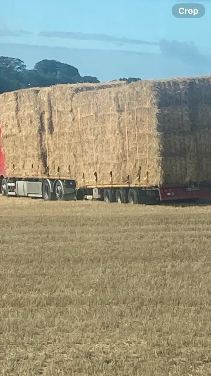 Straw square - Image 1