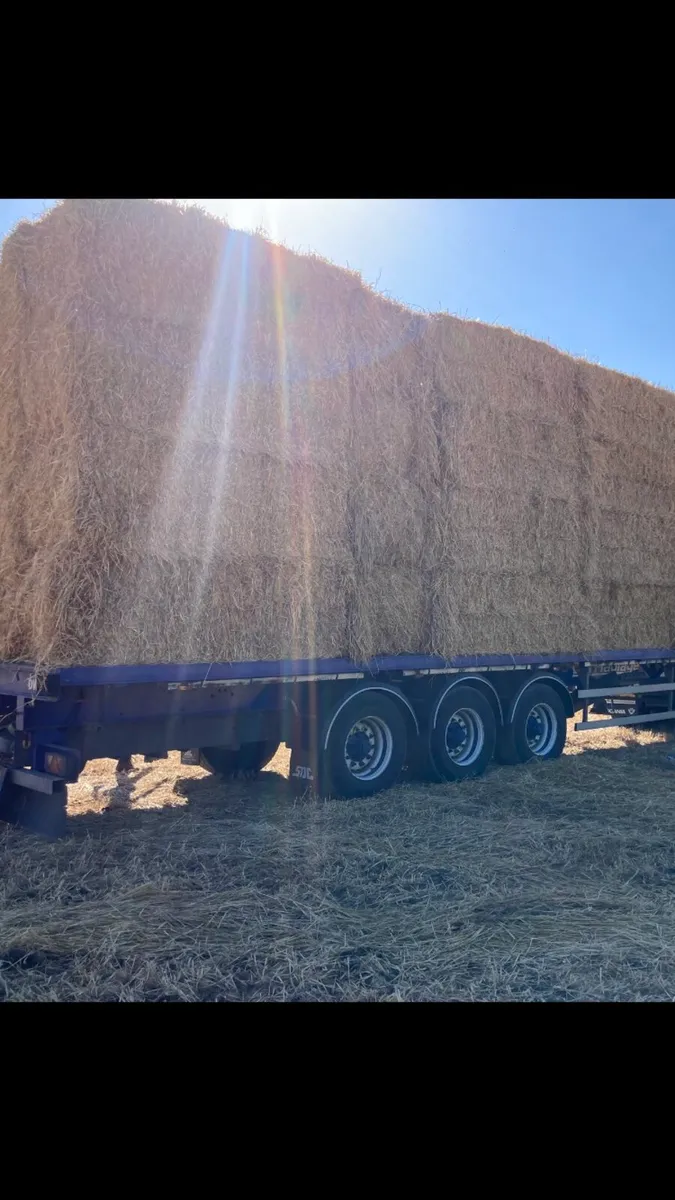 Straw square - Image 2