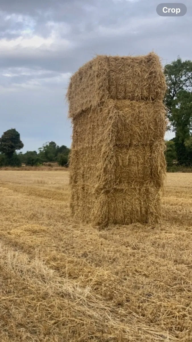 Straw square - Image 3