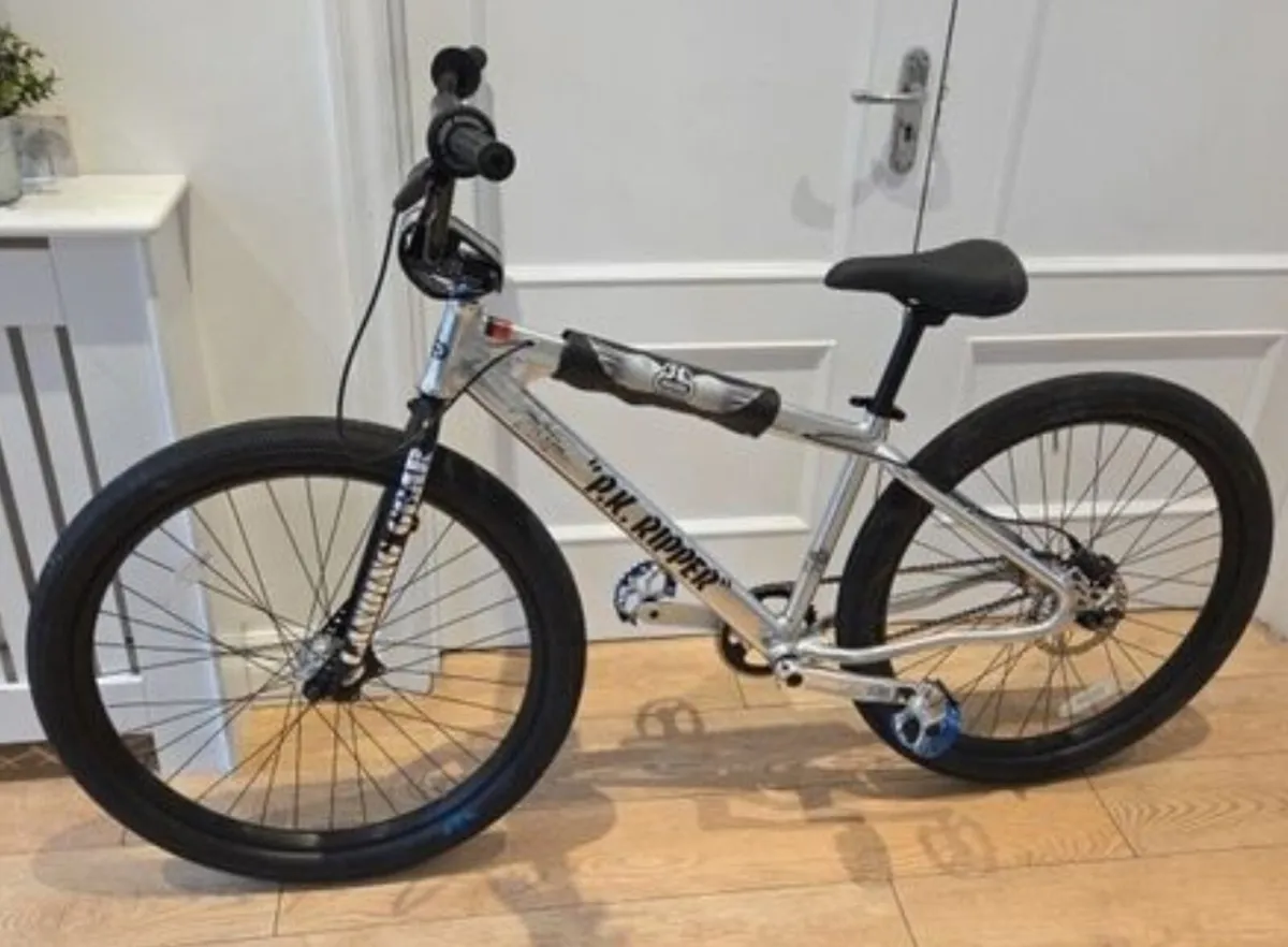 SE Racing Perry Kramer 27.9(Limited Edition Silve - Image 2