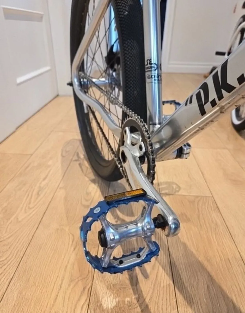 SE Racing Perry Kramer 27.9(Limited Edition Silve - Image 4